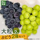【2025年10月より発送】大粒ぶどう2種セット　シャインマスカットほか 2房 約1.2kg