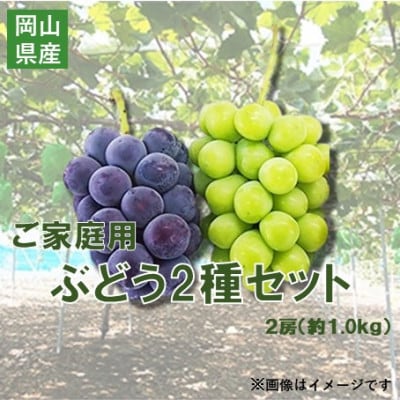 【2026年10月上旬～順次発送】訳ありシャインマスカットとピオーネ詰合せ 2房 1kg ご家庭用