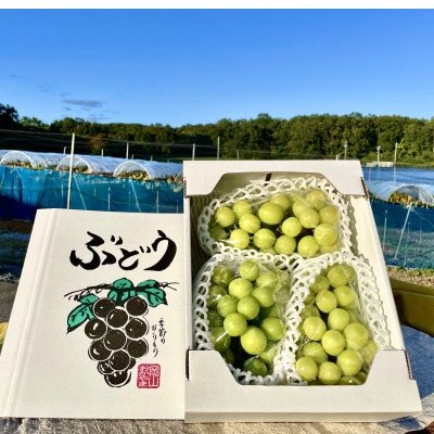 【2026年10月上旬～順次発送】訳ありシャインマスカット 1~3房 1kg ご家庭用