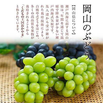 【2025年発送】岡山県産　ニューピオーネ4房(1房480g以上・合計約2kg)