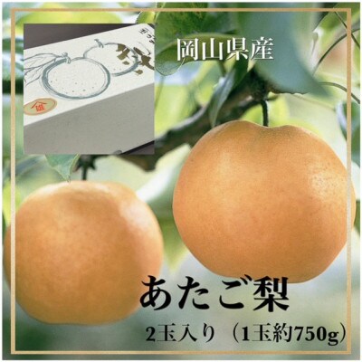 岡山県産　あたご梨 2玉 (1玉約750g) 化粧箱入り