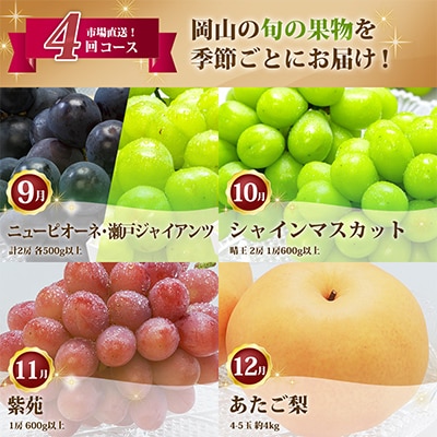 【発送月固定定期便】岡山県産 フルーツ定期便全4回