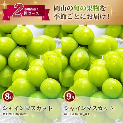 【発送月固定定期便】岡山県産 シャインマスカット『晴王』定期便全2回