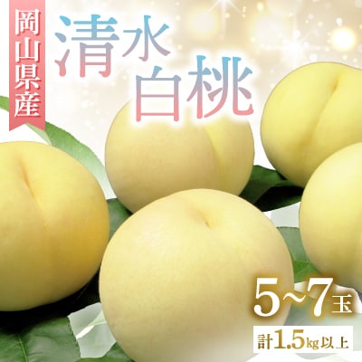 ◆先行受付◆　岡山県産　清水白桃5～7玉　2025年発送
