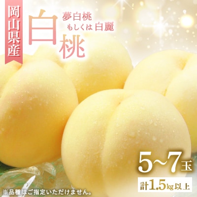 ◆先行受付◆　岡山県産　岡山白桃5～7玉(2)　2026年発送