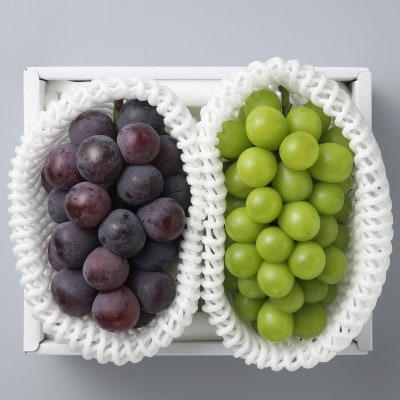 ◆先行受付◆　岡山県産　秋の種無しぶどう詰合せ　2027年発送