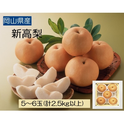 ◆先行受付◆　岡山県産　新高梨　2025年発送