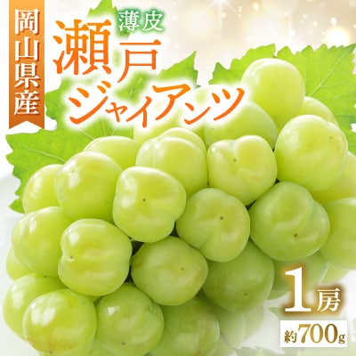 ◇先行受付◇岡山県産　瀬戸ジャイアンツ　2025年発送