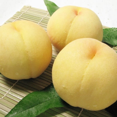 岡山県産　清水白桃3玉【冷蔵】2026年発送