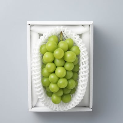 岡山県産　秋のシャインマスカット　1房【冷蔵】2026年発送