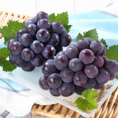 岡山県産　オーロラブラック2房【冷蔵】2026年発送