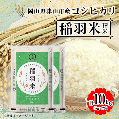 【岡山県津山市産】稲羽米10kg(コシヒカリ)