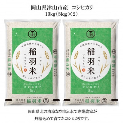 【岡山県津山市産】稲羽米10kg(コシヒカリ)
