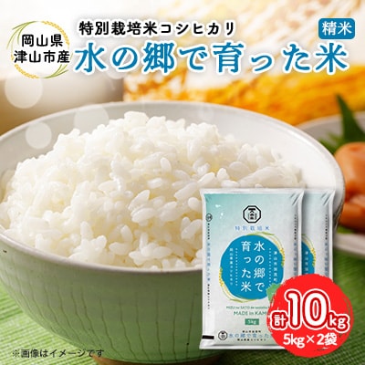 石川棚田米コシヒカリ2kg (お米,,こしひかり,新米,お取り寄せ