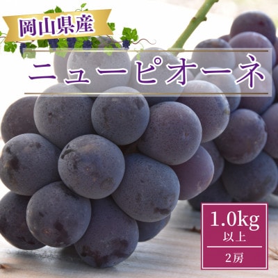 【2025年発送】岡山県産ニューピオーネ1.0kg以上(2房)