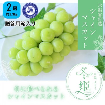 【12月-1月発送】氷温貯蔵マスカット冬姫(2房)
