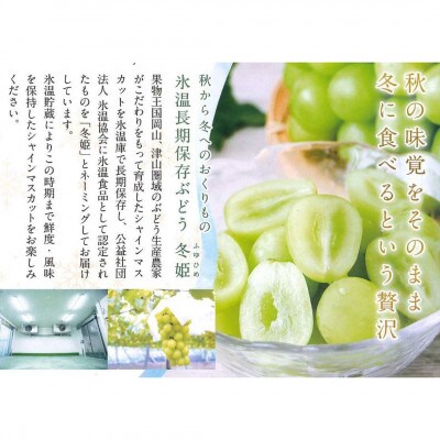 【12月-1月発送】氷温貯蔵マスカット冬姫(2房)