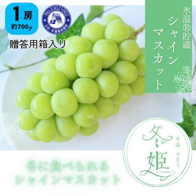 【12月-1月発送】氷温貯蔵マスカット冬姫(1房)