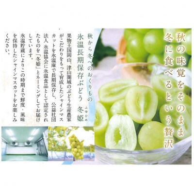 【12月-1月発送】氷温貯蔵マスカット冬姫(1房)