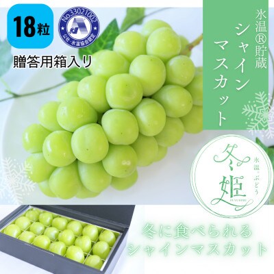 【12月-2月発送】氷温貯蔵マスカット冬姫(18粒)