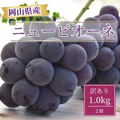 【2025年8月より発送】訳あり家庭用　岡山県産ニューピオーネ1.0kg以上(2房)