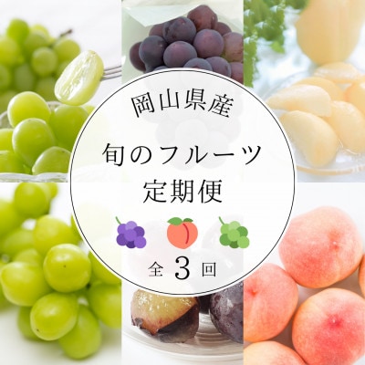 【発送月固定定期便】岡山県産旬のフルーツ定期便全3回