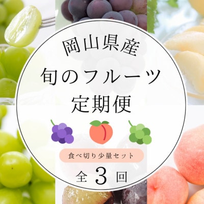 【発送月固定定期便】岡山県産旬のフルーツ定期便　少量セット全3回