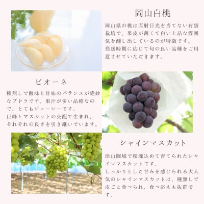 【発送月固定定期便】岡山県産旬のフルーツ定期便　少量セット全3回