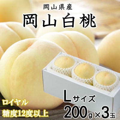【先行受付】岡山白桃 ロイヤル 3玉×200g (Lサイズ) 岡山県産