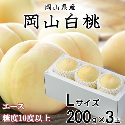 【先行受付】岡山白桃 エース 3玉×200g(Lサイズ )岡山県産