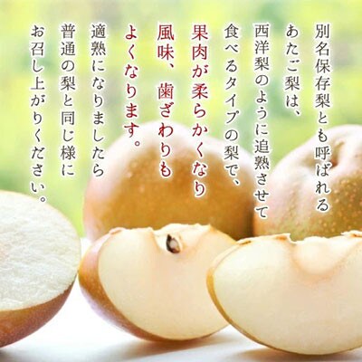 岡山県産　あたご梨  1玉  1kg