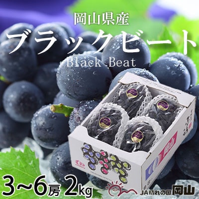 【先行受付】岡山県産　ブラックビート 2kg(3房～6房)