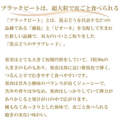 【先行受付】岡山県産　ブラックビート 2kg(3房～6房)
