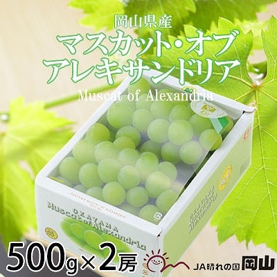 【2025年9月発送】岡山県産　マスカット・オブ・アレキサンドリア　500g×2房
