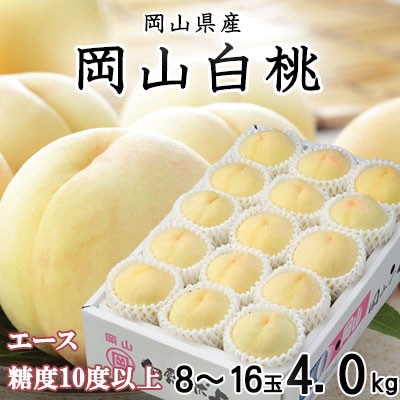 【先行受付】岡山白桃 エース 8～16玉 4.0kg 岡山県産