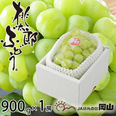 岡山県産 桃太郎ぶどう 900g×1房