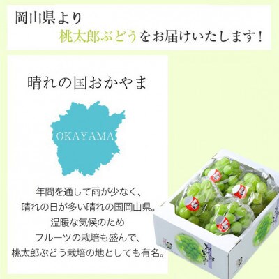 岡山県産 桃太郎ぶどう 3～6房 2kg