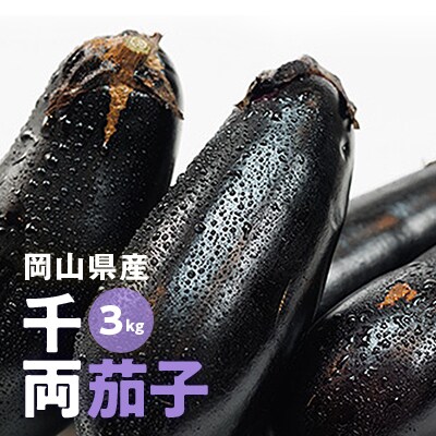 朝採れ茄子　3kg
