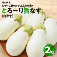 とろ～り旨なす 白なす2kg