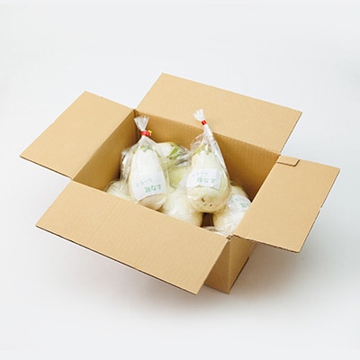 とろ～り旨なす　白なす2kg