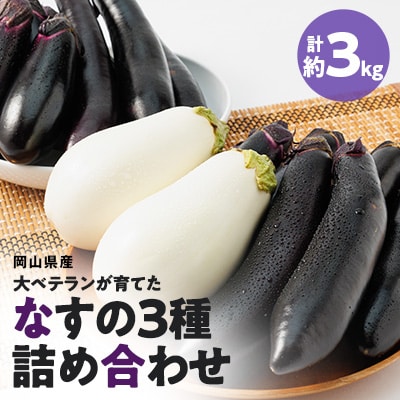 2024年発送　食卓の新しい定番!なす栽培歴50年の大ベテランが育てた”なすの詰め合わせセット”