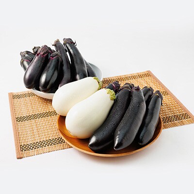 2024年発送　食卓の新しい定番!なす栽培歴50年の大ベテランが育てた”なすの詰め合わせセット”