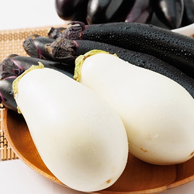 2024年発送　食卓の新しい定番!なす栽培歴50年の大ベテランが育てた”なすの詰め合わせセット”