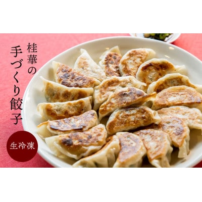 津山黒豚手作り冷凍生餃子(100個セット)