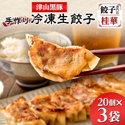 津山黒豚手作り冷凍生餃子(60個セット)