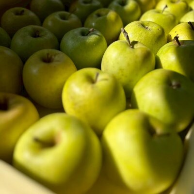 りんごの苗を植える所から始めたアップルパイ専門店　クリームチーズアップルパイ　ハーフカット