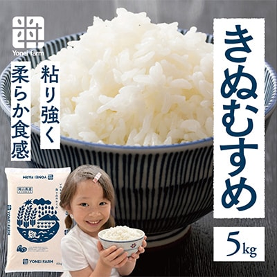 おいしいお米(5kg) 無洗米 リピーター続出 きぬむすめ