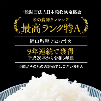 おいしいお米(5kg) 無洗米 リピーター続出 きぬむすめ