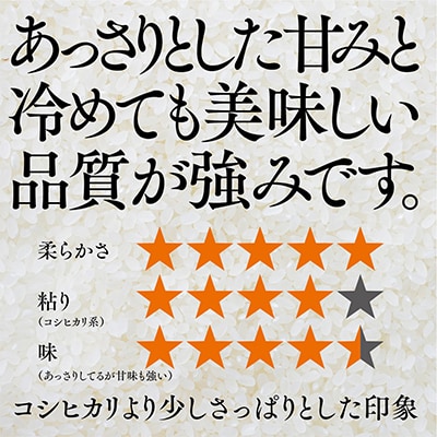 おいしいお米(5kg) 無洗米 リピーター続出 きぬむすめ