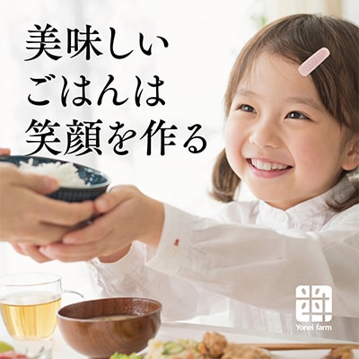 おいしいお米(5kg) 無洗米 リピーター続出 きぬむすめ